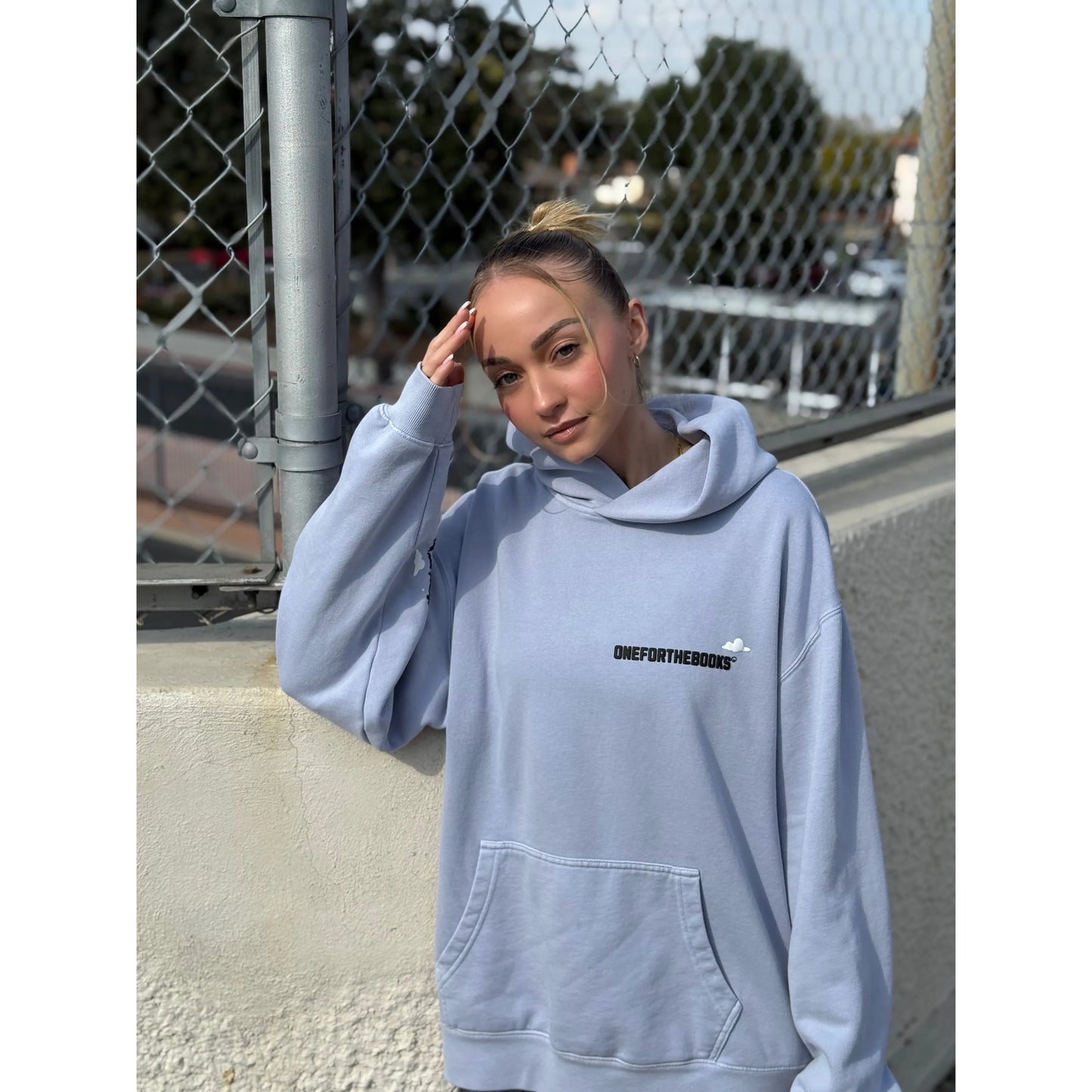 OFTB Catch Flights and Feelings Hoodie (Powder Blue)